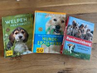 Set 3 Bücher Hunde- & Welpenerziehung Baden-Württemberg - Uhldingen-Mühlhofen Vorschau