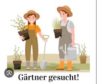 Gärtner für Gartenpflege Saarland - Saarlouis Vorschau