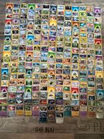 250 Pokemon Karten mit 37 Glitzerkarten (Mewtu,Giratina) Harburg - Hamburg Eißendorf Vorschau
