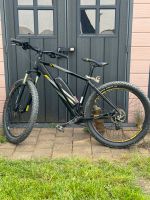 Prophete Gravler E Bike , mtb Nordrhein-Westfalen - Hattingen Vorschau