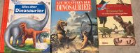 3 Dino Bücher Sachsen - Kirchberg Vorschau