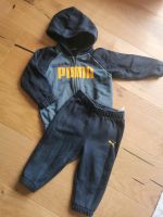 Baby Puma Sportanzug set Gr 80 Hose Sweatjacke Baden-Württemberg - Neuenstein Vorschau