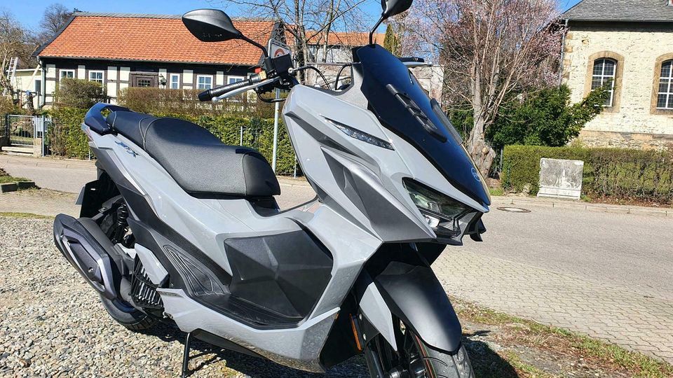 Sym JET-X 125☆ Neumodell 2024☆ Euro5☆ABS☆125ccm☆ /B&M in Goslar