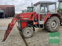Massey Ferguson 254 S Traktor Bayern - Weiden (Oberpfalz) Vorschau