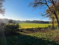 Wiese Grundstück Alleinlage Weiher Bayern - Roggenburg Vorschau