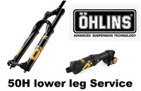 ÖHLINS MTB RXF Gabel Dämpfer TTX AIR Lower Leg Service Wartung Baden-Württemberg - Erbach Vorschau