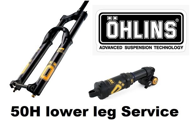 ÖHLINS MTB RXF Gabel Dämpfer TTX AIR Lower Leg Service Wartung in Erbach