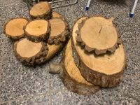Baumscheiben in verschiedenen Größen abzugeben Brandenburg - Eberswalde Vorschau
