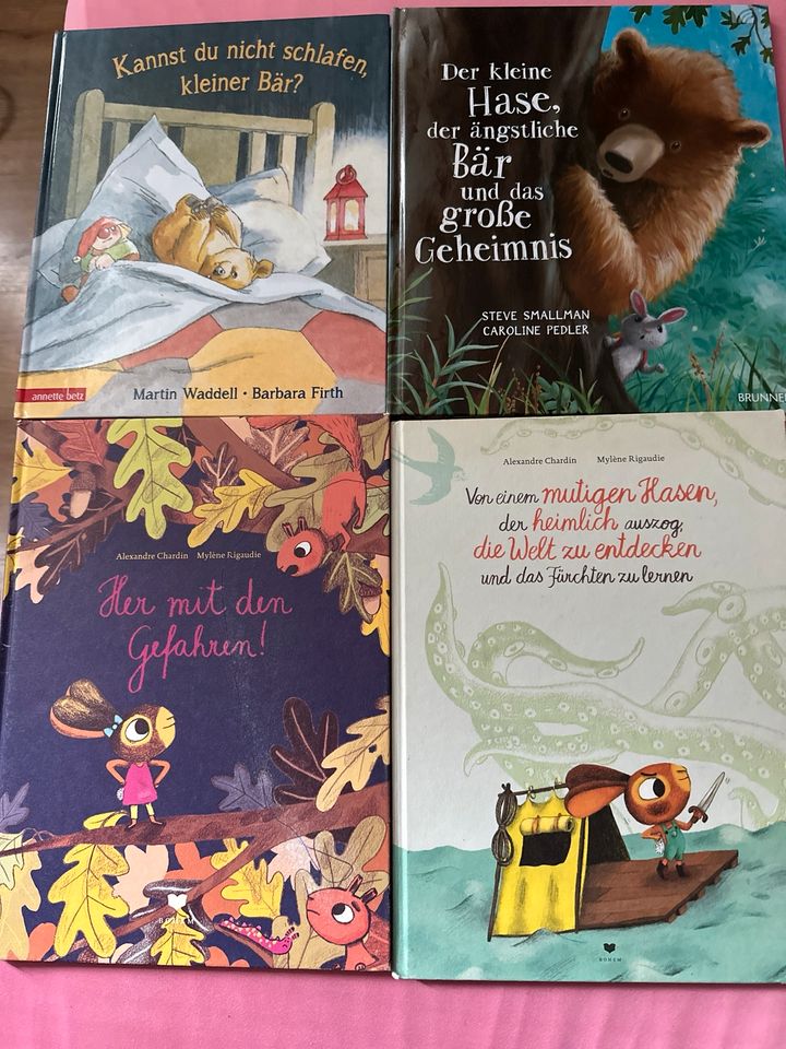 Bilderbücher Bücherpaket in Hannover