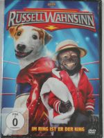 Russell Wahnsinn - Im Ring ist er der King, Wrestler Terrier Hund Niedersachsen - Osnabrück Vorschau