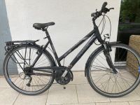 Damenfahrrad Pegasus Solero 28" Nordrhein-Westfalen - Meckenheim Vorschau