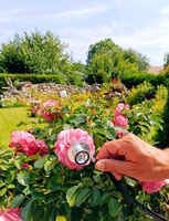 Biete Gartenarbeit, Hausmeisterservice, Carportbau und mehr Sachsen-Anhalt - Zscherndorf Vorschau