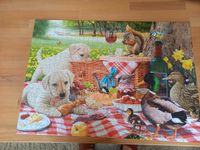 1000Teile Puzzle Welpen Picknick Nordrhein-Westfalen - Sankt Augustin Vorschau