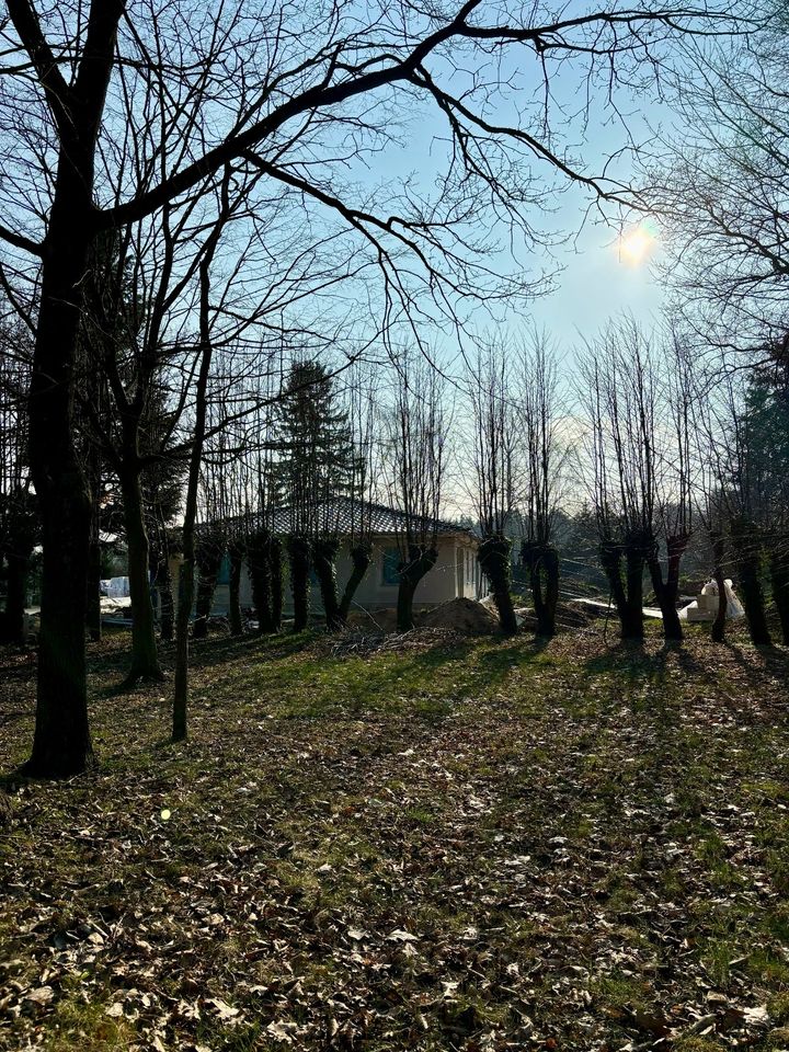 Zukunftsorientierte 2-Zimmerwohnung mit ländlichem Charakter und eigenem Garten in Bandenitz