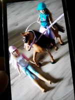 Barbie reitabendteuer u Barbie Auto Niedersachsen - Bomlitz Vorschau