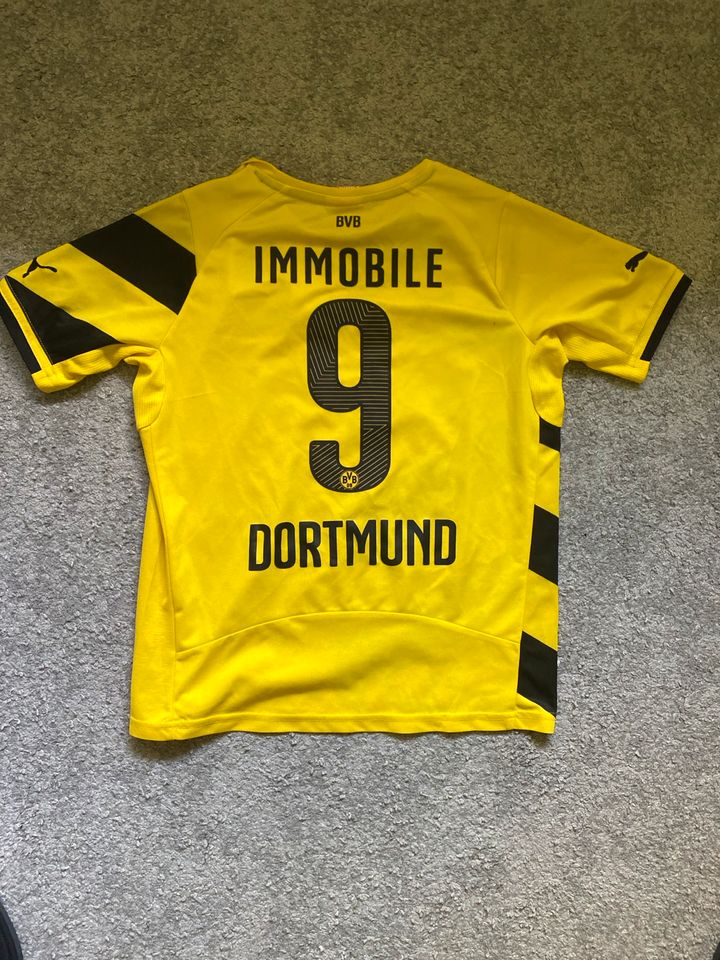 Borussia Dortmund Trikot Original Immobile Größe 152 in Mettmann
