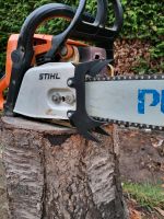 Stihl Anschlagkrallen 029, 031,039,290,310 Bastler/defekt Niedersachsen - Seelze Vorschau