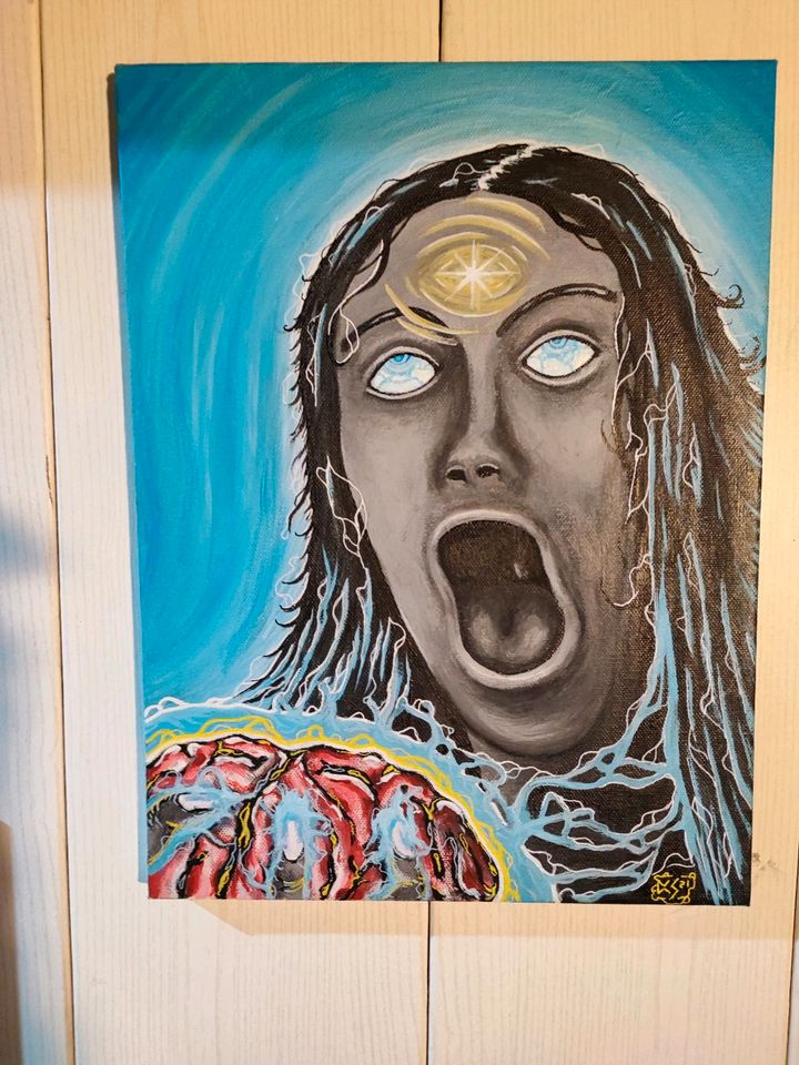 Verschieden Psychedelische Kunst Psytrance Gemälde Acryl in Hessisch Oldendorf