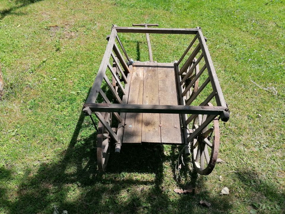 uralter Leiterwagen /grosse räder in Haundorf