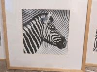 Ikea Zebra Bilder Wiesbaden - Erbenheim Vorschau