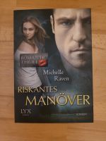 Riskantes Manöver Buch Thriller Brandenburg - Altlandsberg Vorschau