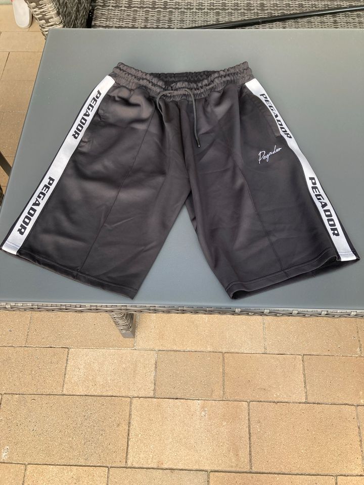 Pegador Logo Wide Track Shorts in Hamm