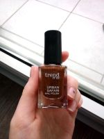 Trend It Up Urban Safari Nagellack Fast NEU Nordrhein-Westfalen - Dormagen Vorschau