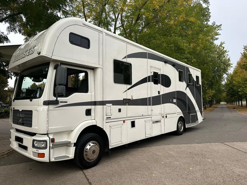 MAN TGM 15240 5-Pferdetransporter Wohnung Automatik in Heilbronn