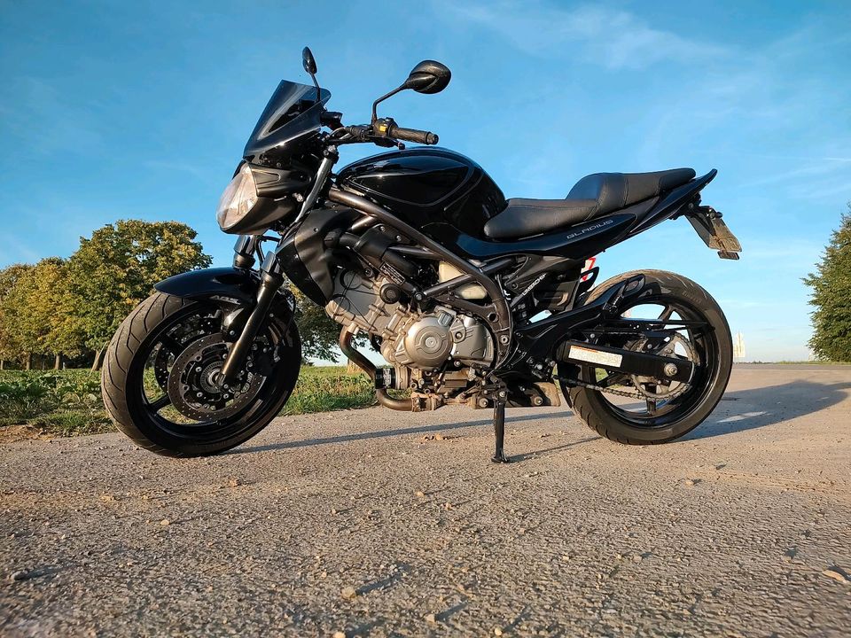 Suzuki Gladius SFV 650 Gladius in Böblingen