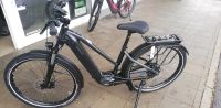 Angebot Hoheacht Ebike PASIA Urbo Damen Shimano EP8 Riemen Bayern - Stammham b. Ingolstadt Vorschau