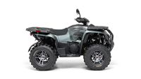 ACCESS 860 ATV / Quad Allrad LOF/T3B Schleswig-Holstein - Travenbrück Vorschau