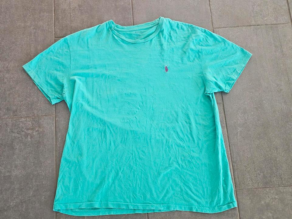 Polo Ralph Lauren T-Shirt in Größe L türkis - top Zustand - in Königswinter