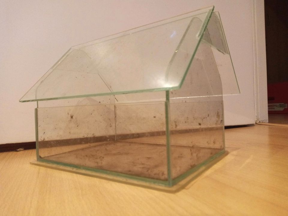 Mini Glashaus, Dekohaus, Pflanzenterrarium, Gewächshaus, 19x22x26 in Berlin