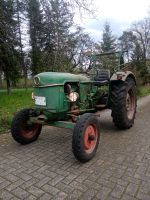 Deutz D30 Schlepper Nordrhein-Westfalen - Telgte Vorschau