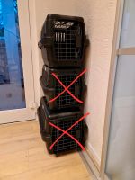 Transportbox Katze/Hund XS Nordrhein-Westfalen - Bad Berleburg Vorschau