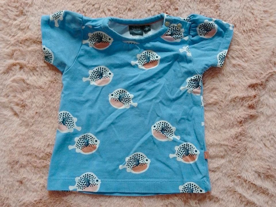 Babykleidung, Babyhose, Babyshirt, T-Shirt, Hose, Größe 62/68 in Niederndodeleben