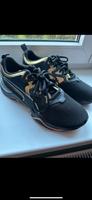 Puma  40.5 Bayern - Augsburg Vorschau