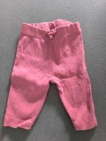 Gerippe Leggings Nordrhein-Westfalen - Rahden Vorschau