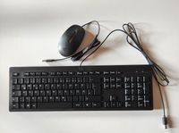 HP Tastatur mit Maus, kabelgebunden USB Rheinland-Pfalz - Ludwigshafen Vorschau