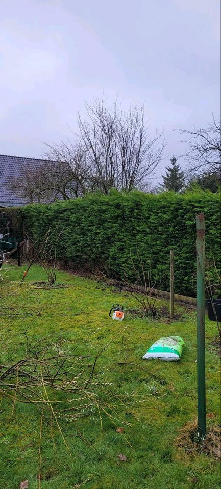 Heckenschnitt Sträucher schneiden Gartenarbeit Gärtner in Sonsbeck