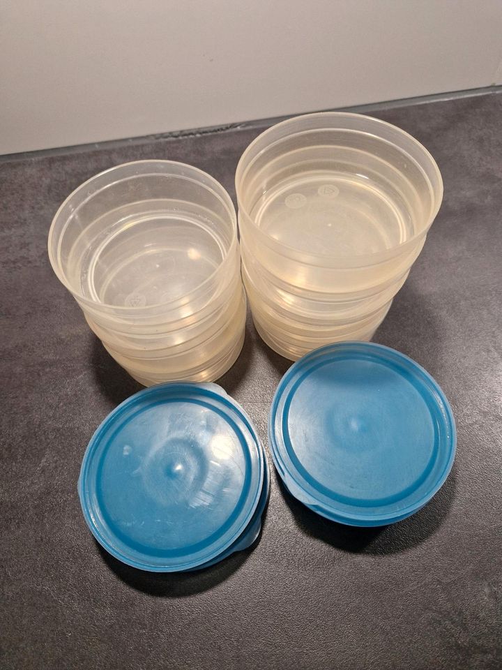 Kleine runde Tiefkühldosen Tupperware 0,2l 10x10x3,5cm in Bühl