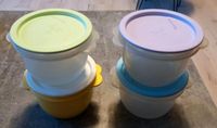 4 Behälter mit Deckel Tupperware Frische Express 700 ml Niedersachsen - Seevetal Vorschau