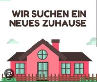 Suche 4 Raum Wohnung in Meuselwitz Thüringen - Lucka Vorschau