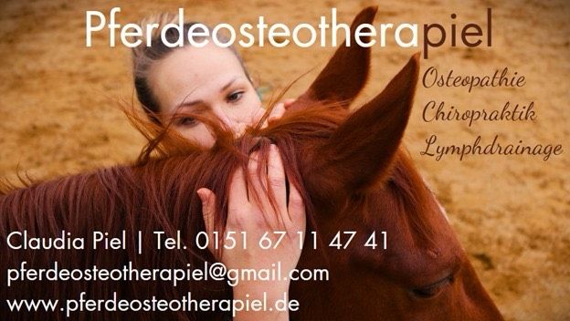 Ganzheitliche Pferdeosteopathie & Chiropraktik in Irschenberg