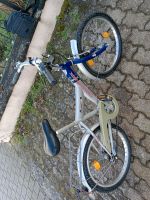 Kinderfahrrad 20 " silber blau Baden-Württemberg - Ispringen Vorschau