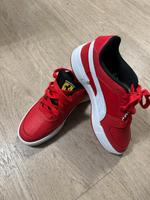 Schuhe Puma Größe-42 Neu Schleswig-Holstein - Großhansdorf Vorschau