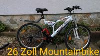 Fahrrad Mountainbike Essen - Essen-Borbeck Vorschau