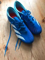 Fußballschuhe adidas PREDATOR ACCURACY Gr. 43 Brandenburg - Potsdam Vorschau