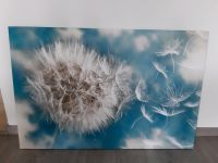 Großes Wandbild Motiv: Pusteblume Thüringen - Zeulenroda Vorschau