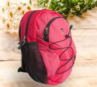 NEU Rucksack Salewa Siddy pink Regenhülle Kindergarten Wandern Bayern - Kissing Vorschau